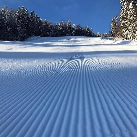 Luxury Zimska Idila Bjelašnica